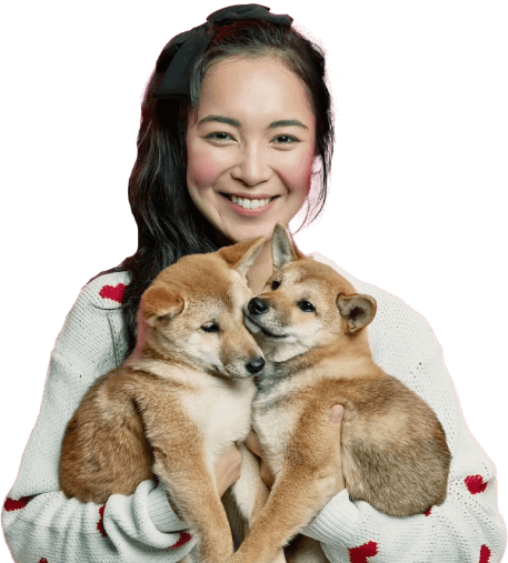 Pet sitting service process