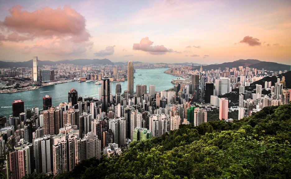 Hong Kong urban pet family lifestyle