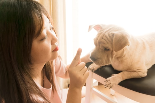 Pet parent interacting with a companion animal
